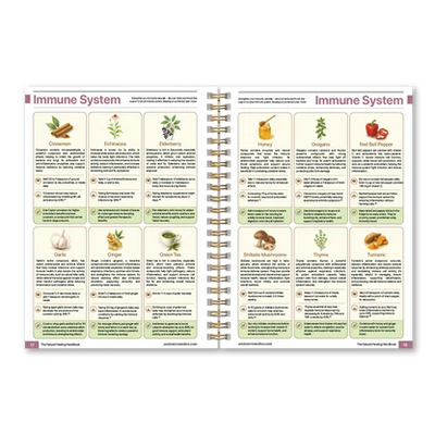 The Natural Healing Handbook