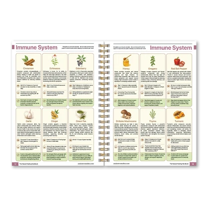 The Natural Healing Handbook