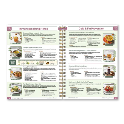 The Natural Healing Handbook